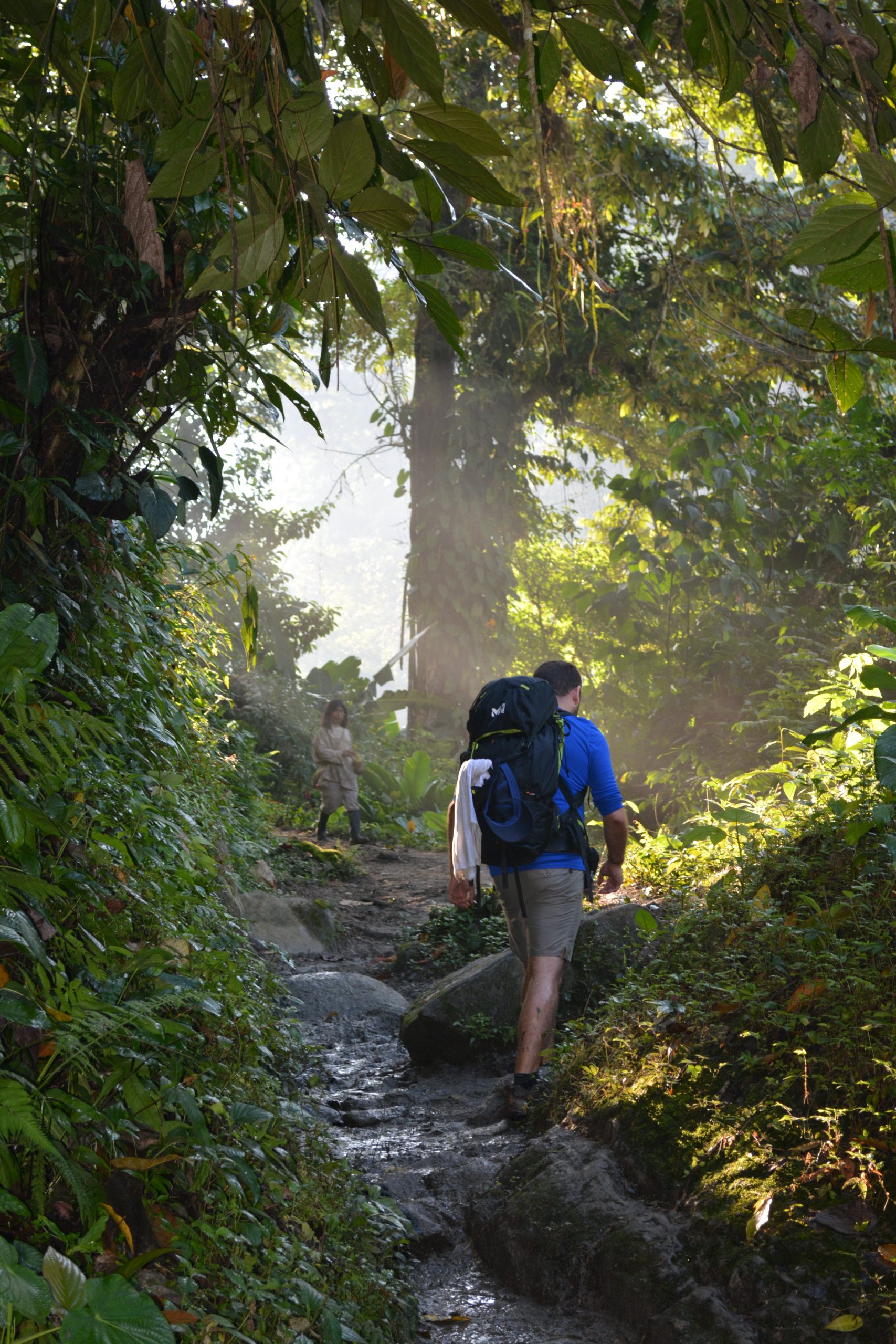 Hiking